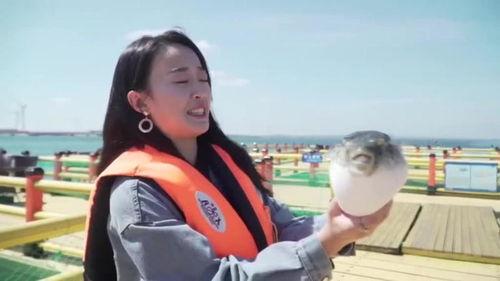 河豚小姐,探寻海洋深处的神秘传说