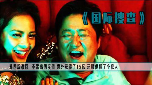 国际搜查,国际搜查的挑战与成果